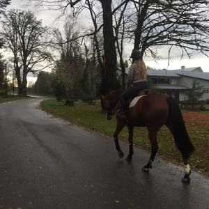 Meet your Posher, Taylor